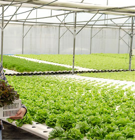 Agriculture & farming